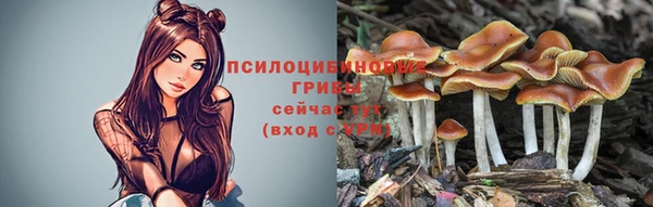 марки lsd Балабаново