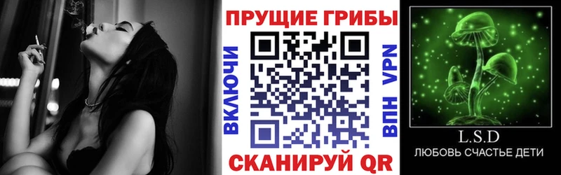 blacksprut вход  Кулебаки  Галлюциногенные грибы GOLDEN TEACHER  цена наркотик 